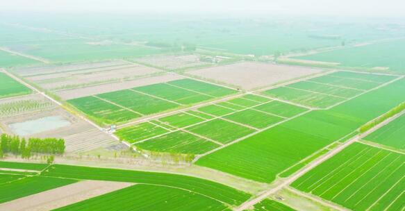 重庆今年将完成1.57万亩高标准农田的建设