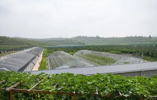 陕西推广软体集雨水窖水肥一体化技术，推动节水农业发展 