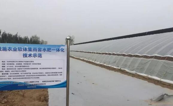 天津市温室大棚软体集雨水窖，为节约用水开辟了新路